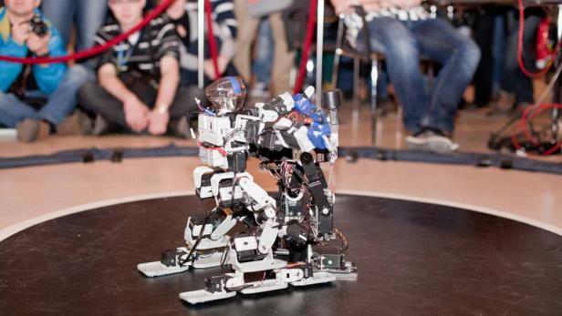 Robot Challenge 2012