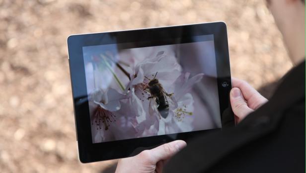 ipad neu ipad 3