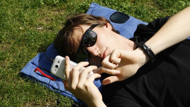 Ein Mann liegt mit Sonnenbrille auf einer blauen Decke im Gras und benutzt sein Smartphone.