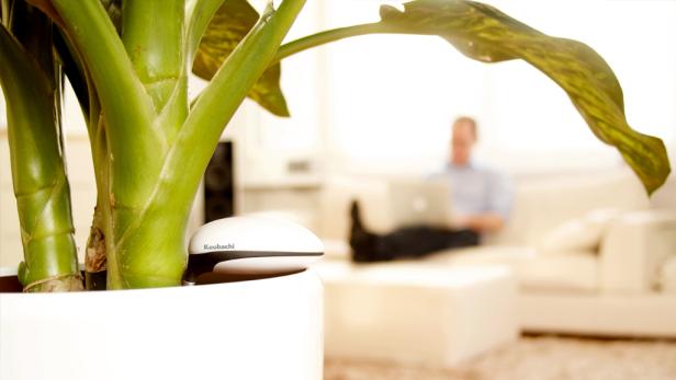 Der "WiFi Plant Sensor" von Koubachi
