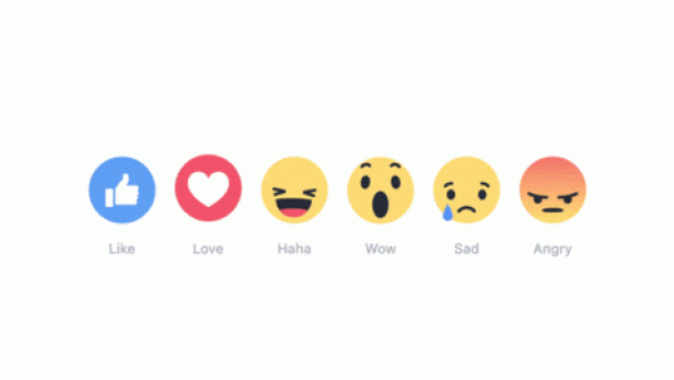 reactions.gif