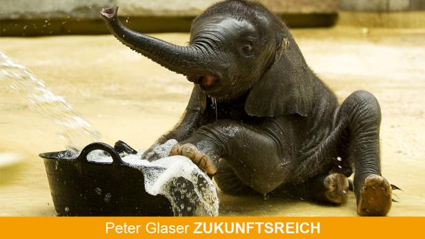 Glaser Elefant