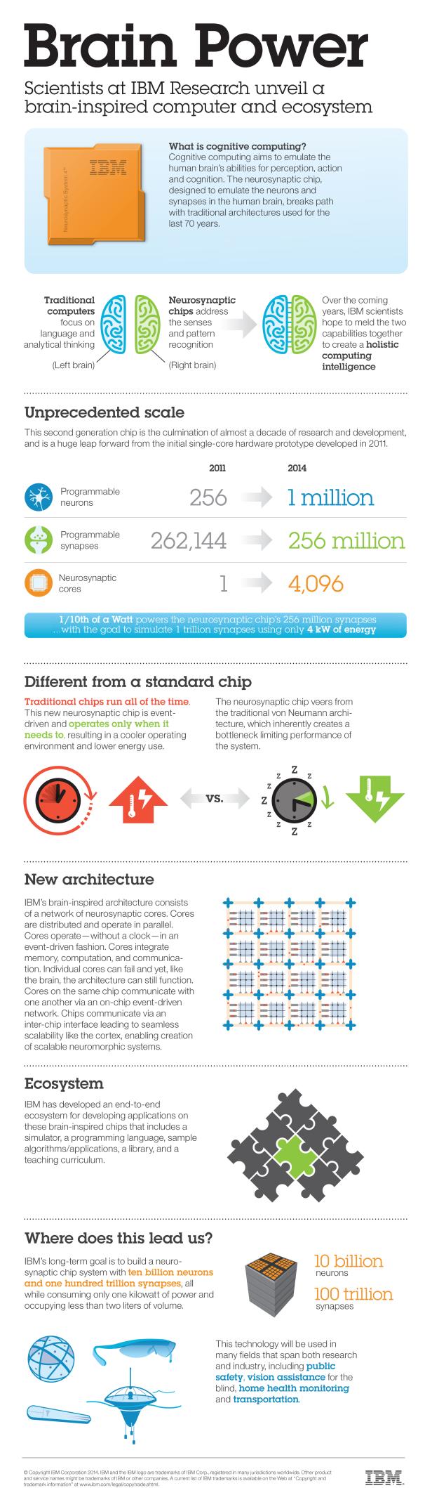synapse-chip-infographic_hires_nobuttons.jpg