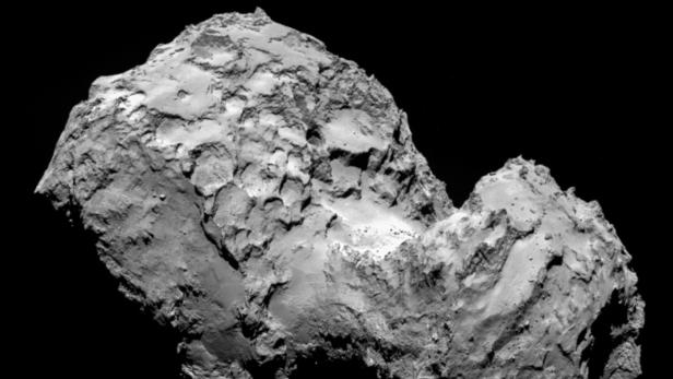 rosetta-1.jpg