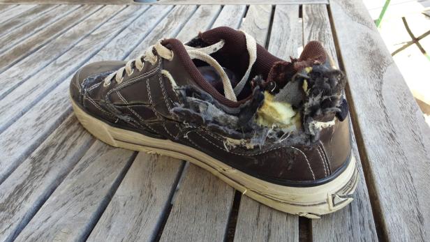 Der Turnschuh nach dem Test