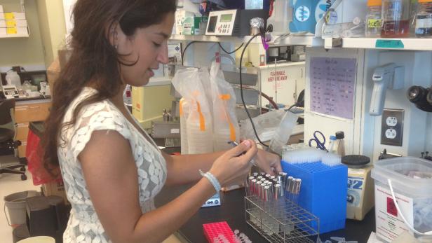Das Labor im Koch Institute for Integrative Cancer Research am Howard Hughes Medical Institute des MIT