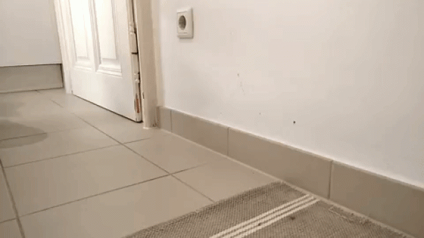 Sphero BB-8