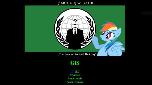 Die GIS.at-Website am Freitagvormittag