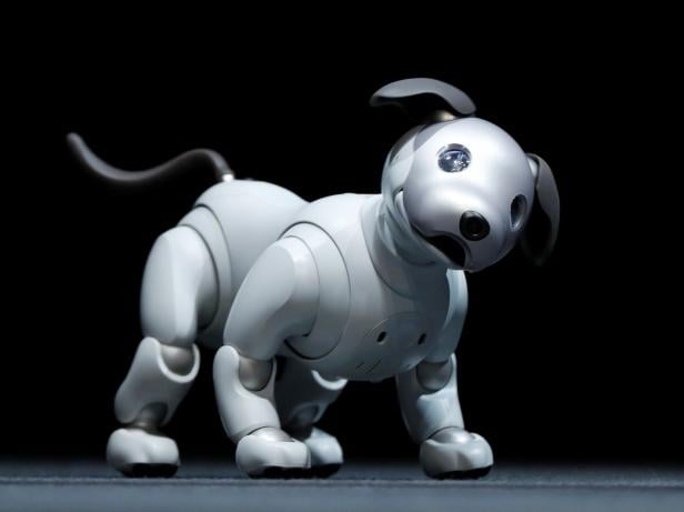 Sony Corp's entertainment robot "aibo" is pictured at a news conference in Tokyo