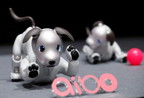 Sony Corp's entertainment robot "aibo" is pictured at its demonstration in Tokyo