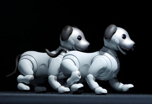 Sony Corp's entertainment robot "aibo" is pictured at a news conference in Tokyo