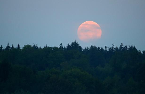 A sinking "blood moon" is seen after a full lunar eclipse in the southern Bavarian village of Raisting