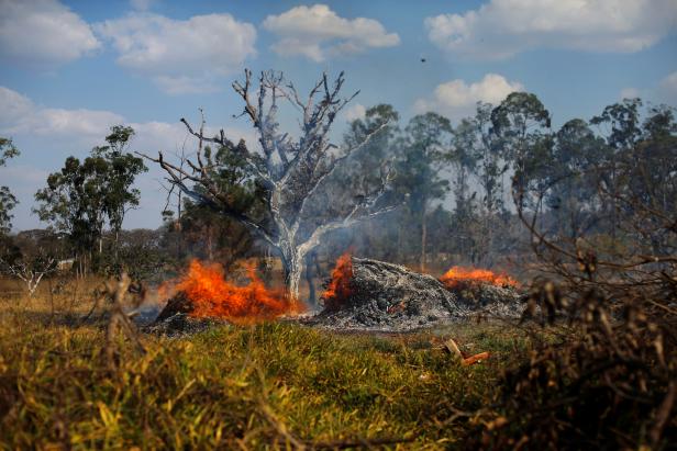 A view of the devastation caused by a fire during the dry season in Brasilia