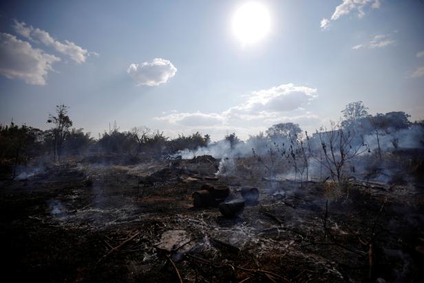 A view of the devastation caused by a fire during the dry season in Brasilia