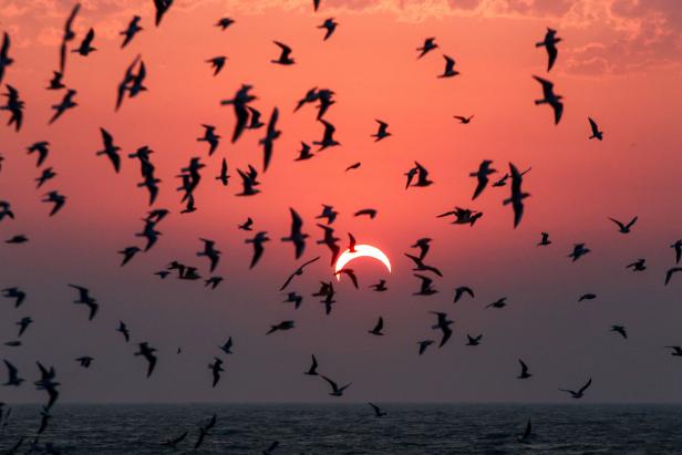 TOPSHOT-KUWAIT-ASTRONOMY-SOLAR-ECLIPSE