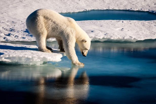 FILES-CLIMATE-WARMING-ARCTIC-ENVIRONMENT