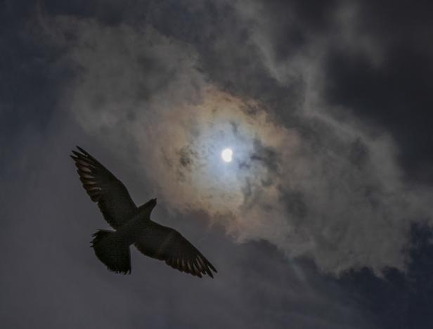 Partial solar eclipse seen from Kathmandu