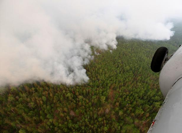 FILE PHOTO: An aerial view shows the Taiga wood burning near Boguchany in Russia FILE PHOTO: An aerial view shows the Taiga wood burning near Boguchany in Russia