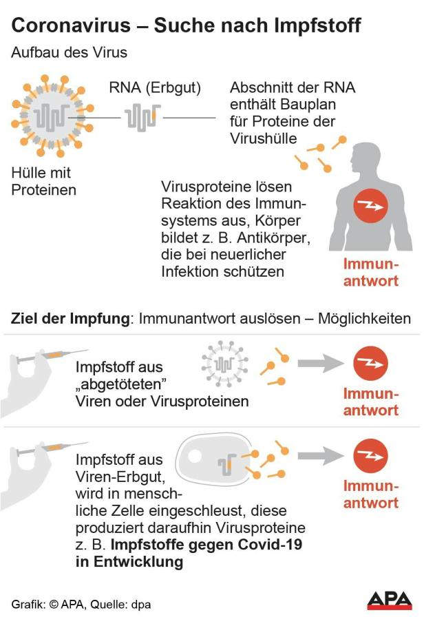 Coronavirus - Suche nach Impfstoff