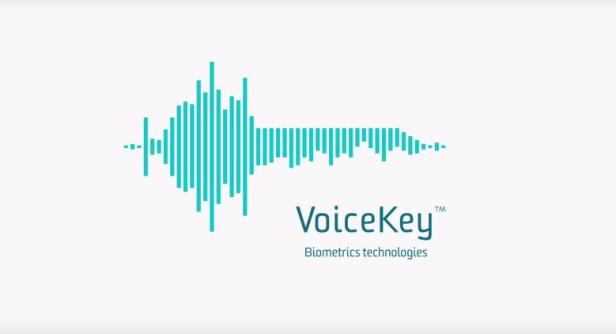 Voice ключ. Voice Key ЦРТ. VOICEKEY.platform логотип. Голос человека биометрия. VOICEKEY.agent цена.