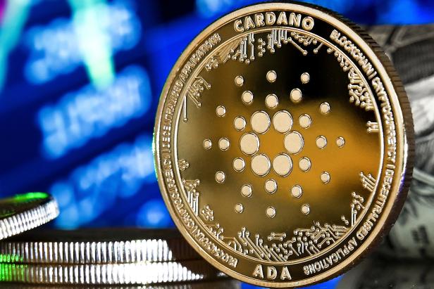 Cryptocurrencies Hype: Bitcoin, Ethereum, Ripple and Cardano