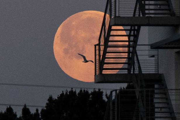 FRANCE-ASTRONOMY-MOON