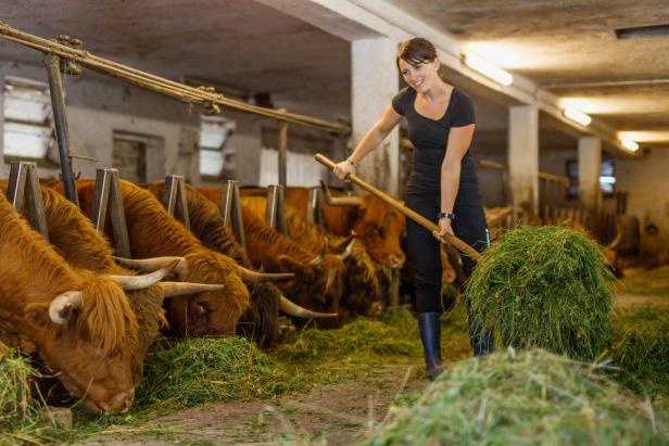 Freiwillig am Bauernhof: Zeit schenken und Neues erfahren