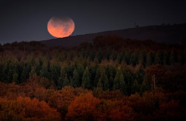 Partial lunar eclipse