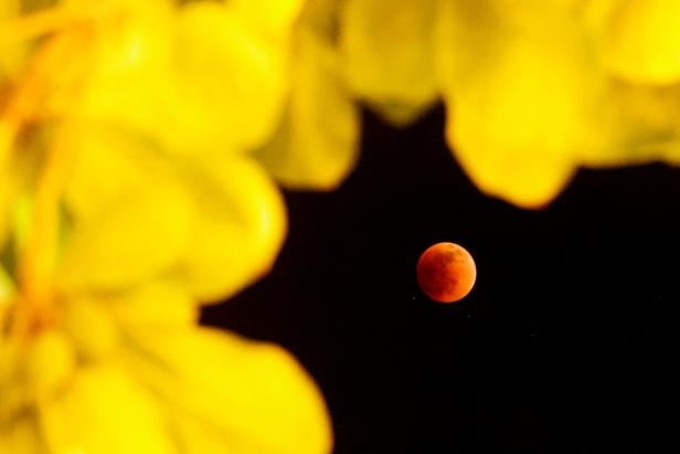 Total lunar eclipse, in Tinum