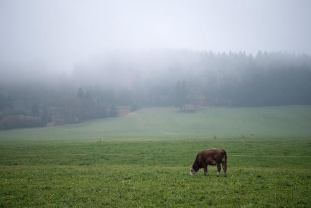 Weather in Bavaria