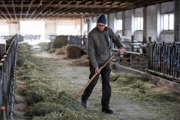 FILES-GERMANY-CLIMATE-GOVERNMENT-FARMING