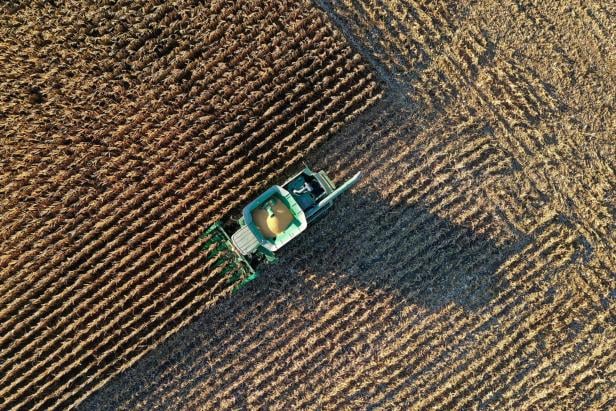 FILE PHOTO: Indiana corn harvest