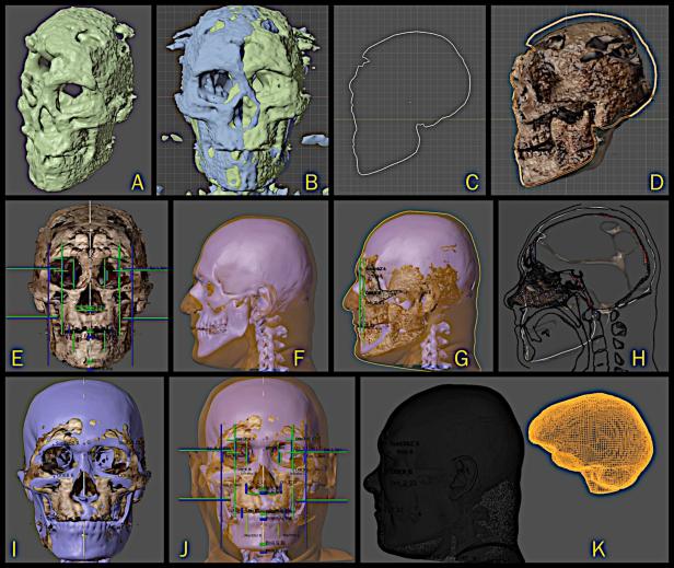 The skull was scanned in a computer tomograph.