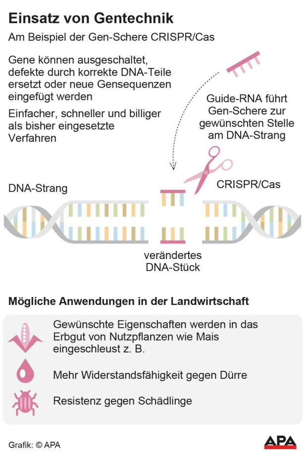 Einsatz von Gentechnik