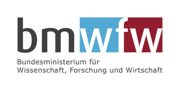 Vergeben wird der Staatspreis Innovation durch das Bundesministerium für Wissenschaft, Forschung und Wirtschaft