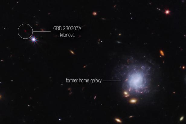 Der Ursprung des Gammablitzes und die frühere Heimatgalaxie der Sterne