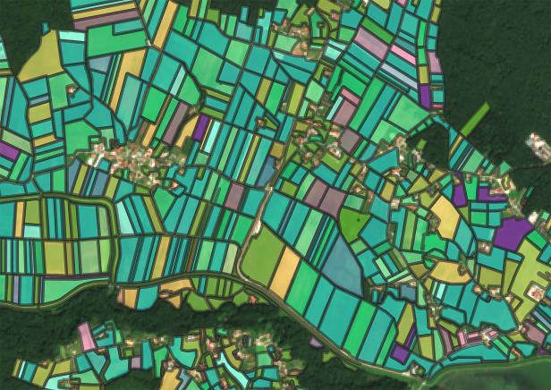 KI kann zwischen landwirtschaftlichen Anbauflächen unterscheiden, damit sind automatische Inventuren möglich