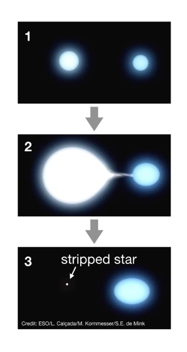 Künstlerische Darstellung eines Sterns, der von einem binären Begleiter abgestreift wird. 