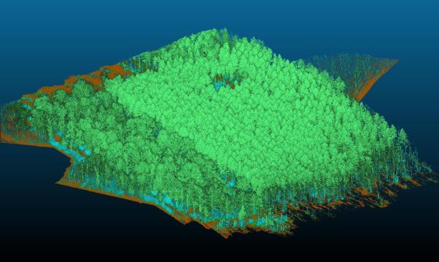 Das erste Ergebnis eines Laserscans ist eine Punktwolke, bei der die Bäume und anderen Objekte noch dabei sind.