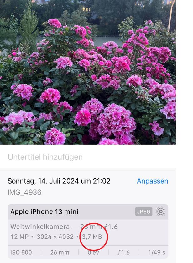 Sowohl beim iPhone als auch bei Android findet man die Dateigröße eines Bildes oder Videos unter "i". 