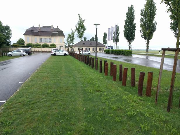 Der Parkplatz des Schlosses Niederweiden im Marchfeld ist als Schotterrasen gestaltet