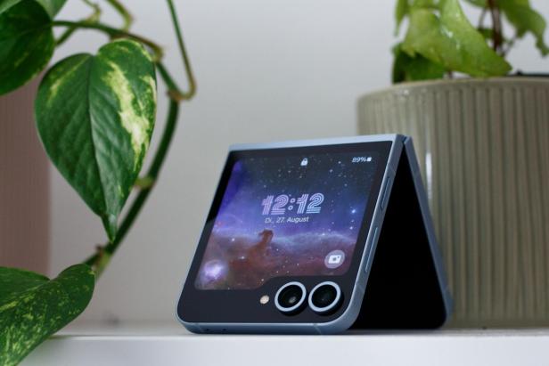Ein blaues Falt-Smartphone steht zwischen zwei Zimmerpflanzen.