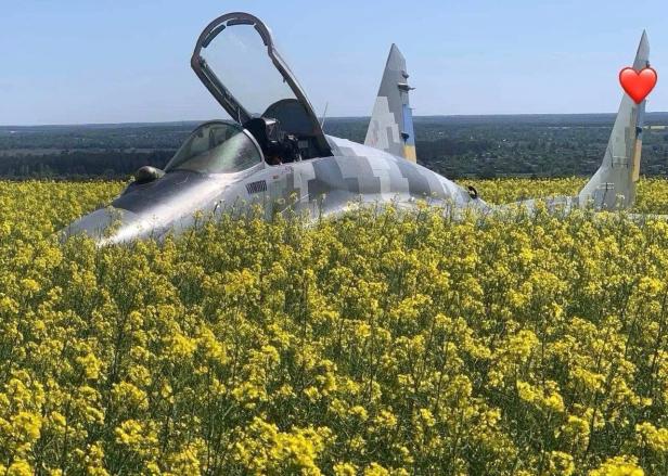 MiG-29 im Rapsfeld