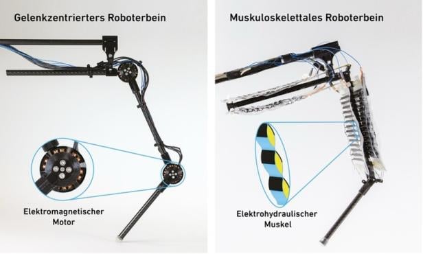 Das Roboter bein (rechts) in der Detailaufnahme.