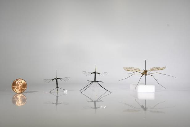 Die neuen Beine der RoboBee machen sie weitaus größer als ihr Vorgängermodell. Eine Penny-Münze neben 2 RoboBees und einem Modell einer Schnake