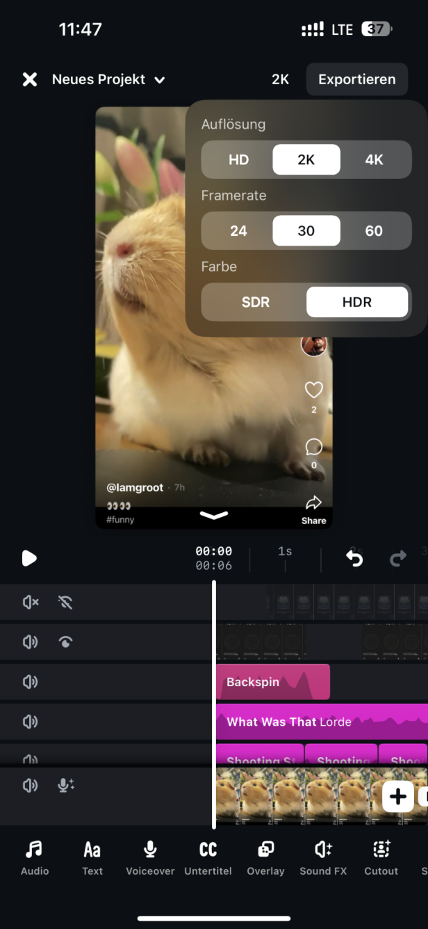Das Bild zeigt die Auflösungsauswahl der App Edits von Instagram