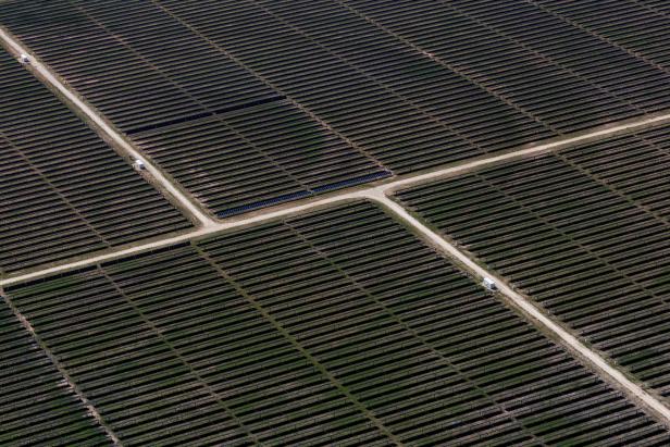 An aerial view shows rows of solar panels at a solar farm in Anson, Texas An aerial view shows rows of solar panels at a solar farm in Anson, Texas
