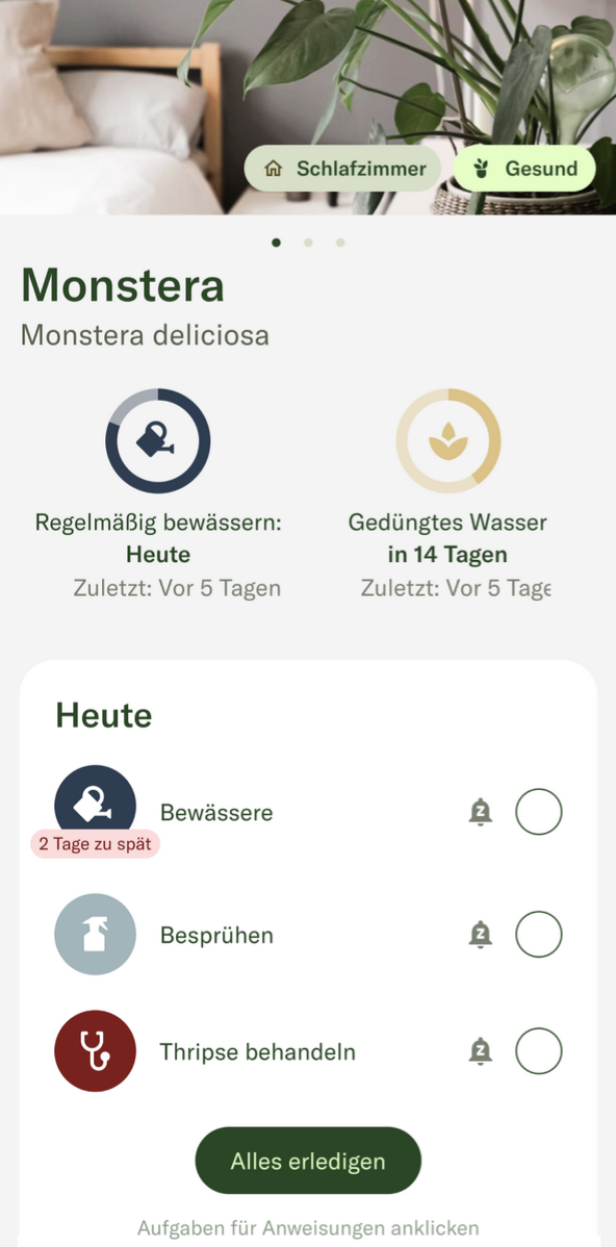 Nutzeroberfläche der App Planta mit Pflegeerinnerungen einer Monstera-Pflanze.