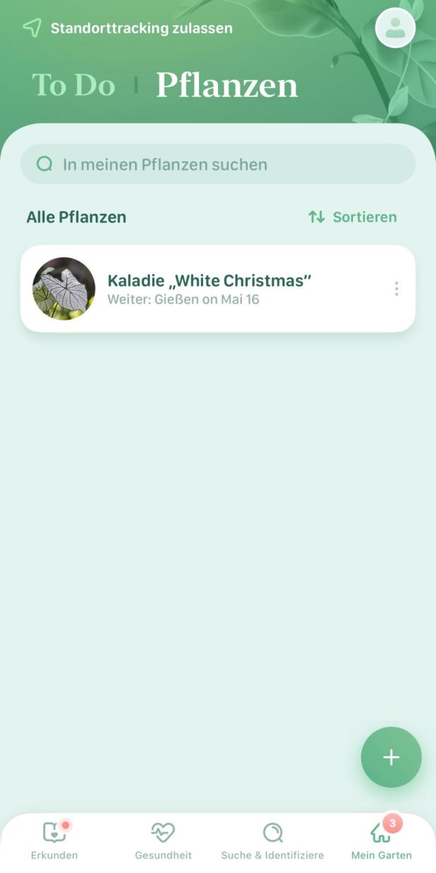 Nutzeroberfläche der App Blossom mit einer eingetragenen Pflanze