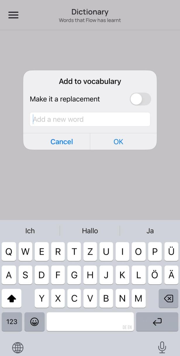 Wörterbuch-Reiter mit Textfeld in der Wispr Flow AI App